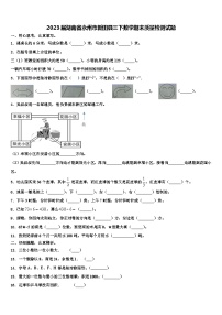 2023届湖南省永州市新田县三下数学期末质量检测试题含解析