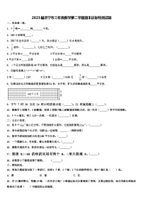 2023届济宁市三年级数学第二学期期末达标检测试题含解析