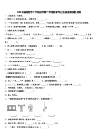 2023届浏阳市三年级数学第二学期期末学业质量监测模拟试题含解析