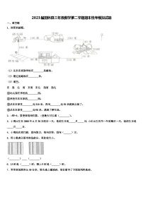 2023届田林县三年级数学第二学期期末统考模拟试题含解析