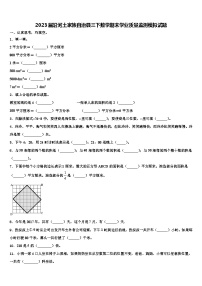 2023届沿河土家族自治县三下数学期末学业质量监测模拟试题含解析