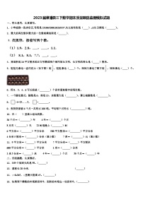 2023届漳浦县三下数学期末质量跟踪监视模拟试题含解析