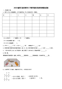 2023届浙江省合肥市三下数学期末质量检测模拟试题含解析