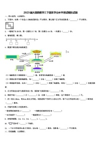 2023届大田县数学三下期末学业水平测试模拟试题含解析