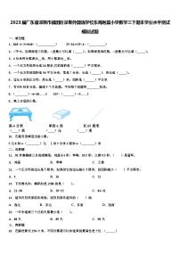 2023届广东省深圳市福田区深圳外国语学校东海附属小学数学三下期末学业水平测试模拟试题含解析