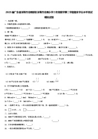 2023届广东省深圳市光明新区深圳市光明小学三年级数学第二学期期末学业水平测试模拟试题含解析