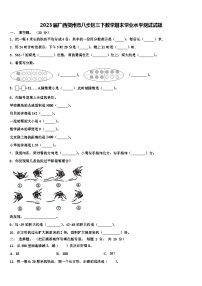 2023届广西贺州市八步区三下数学期末学业水平测试试题含解析