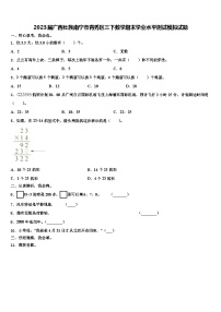 2023届广西壮族南宁市青秀区三下数学期末学业水平测试模拟试题含解析