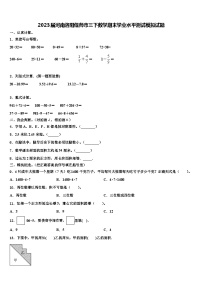 2023届河南洛阳偃师市三下数学期末学业水平测试模拟试题含解析