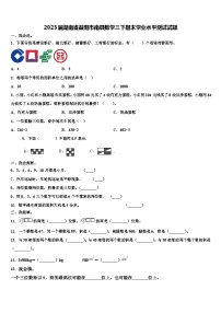 2023届湖南省益阳市南县数学三下期末学业水平测试试题含解析