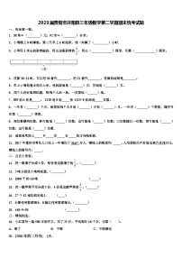 2023届贵阳市开阳县三年级数学第二学期期末统考试题含解析