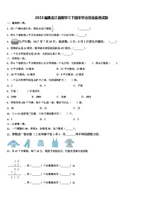 2023届黑龙江省数学三下期末学业质量监测试题含解析