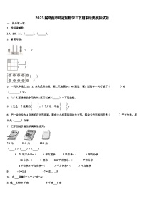 2023届鸡西市鸡冠区数学三下期末经典模拟试题含解析