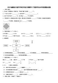 2023届黑龙江省齐齐哈尔市龙江县数学三下期末学业水平测试模拟试题含解析