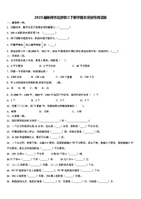 2023届衢州市龙游县三下数学期末质量检测试题含解析