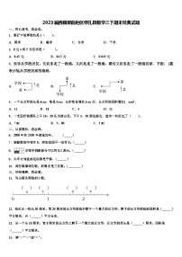 2023届西藏那曲地区申扎县数学三下期末经典试题含解析