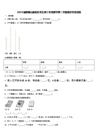 2023届西藏山南地区洛扎县三年级数学第二学期期末检测试题含解析