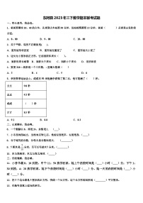 东阿县2023年三下数学期末联考试题含解析