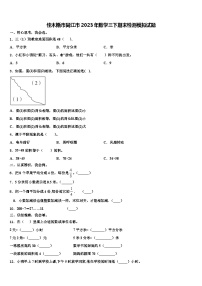 佳木斯市同江市2023年数学三下期末检测模拟试题含解析