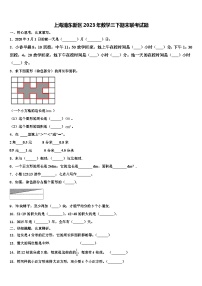 上海浦东新区2023年数学三下期末联考试题含解析