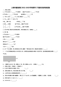 上海市浦东新区2022-2023学年数学三下期末质量检测试题含解析