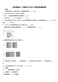 上海市普陀区十二校联考2023年三下数学期末调研试题含解析