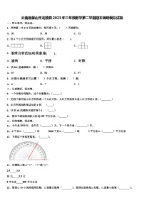 云南省保山市龙陵县2023年三年级数学第二学期期末调研模拟试题含解析