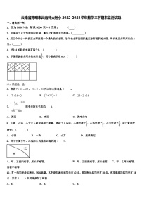 云南省昆明市云南师大附小2022-2023学年数学三下期末监测试题含解析