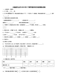 云南省文山市2023年三下数学期末综合测试模拟试题含解析