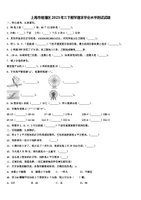 上海市杨浦区2023年三下数学期末学业水平测试试题含解析