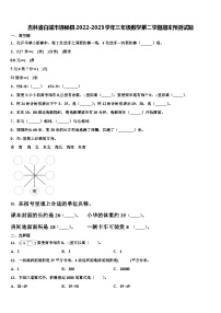 吉林省白城市通榆县2022-2023学年三年级数学第二学期期末预测试题含解析