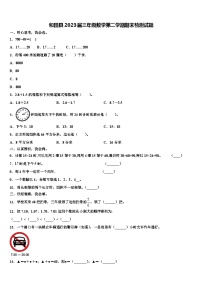 和田县2023届三年级数学第二学期期末检测试题含解析