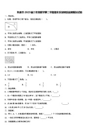 凯里市2023届三年级数学第二学期期末质量跟踪监视模拟试题含解析