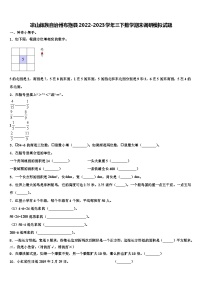 凉山彝族自治州布拖县2022-2023学年三下数学期末调研模拟试题含解析