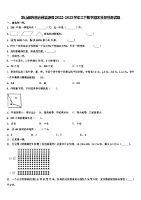 凉山彝族自治州盐源县2022-2023学年三下数学期末质量检测试题含解析