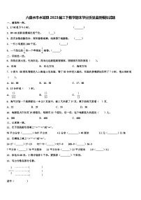 六盘水市水城县2023届三下数学期末学业质量监测模拟试题含解析