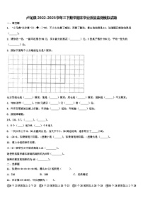 卢龙县2022-2023学年三下数学期末学业质量监测模拟试题含解析