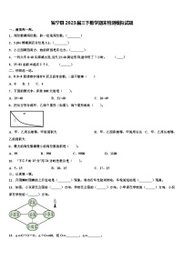 冕宁县2023届三下数学期末检测模拟试题含解析