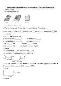 前郭尔罗斯蒙古族自治县2022-2023学年数学三下期末质量检测模拟试题含解析