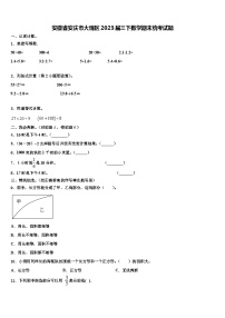 安徽省安庆市大观区2023届三下数学期末统考试题含解析