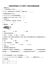 安徽省合肥市蜀山区2023年数学三下期末质量跟踪监视试题含解析