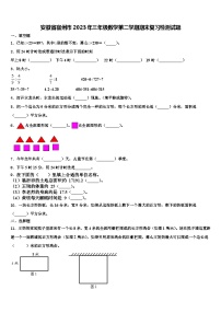 安徽省宿州市2023年三年级数学第二学期期末复习检测试题含解析