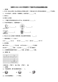 安康市2022-2023学年数学三下期末学业质量监测模拟试题含解析