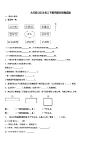 大方县2023年三下数学期末经典试题含解析