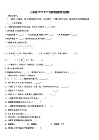 大余县2023年三下数学期末检测试题含解析