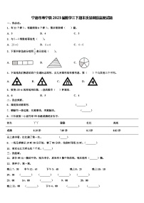 宁德市寿宁县2023届数学三下期末质量跟踪监视试题含解析