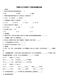 宁明县2023年数学三下期末监测模拟试题含解析