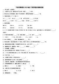 宁波市鄞州区2023届三下数学期末调研试题含解析