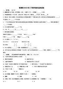 囊谦县2023年三下数学期末监测试题含解析