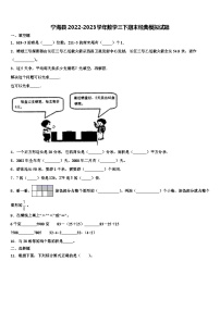 宁海县2022-2023学年数学三下期末经典模拟试题含解析